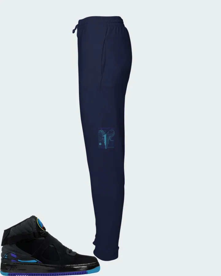Joggers in Navy