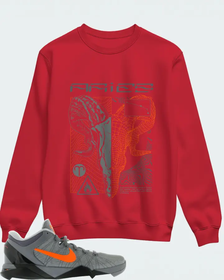 Sweatshirt in Red