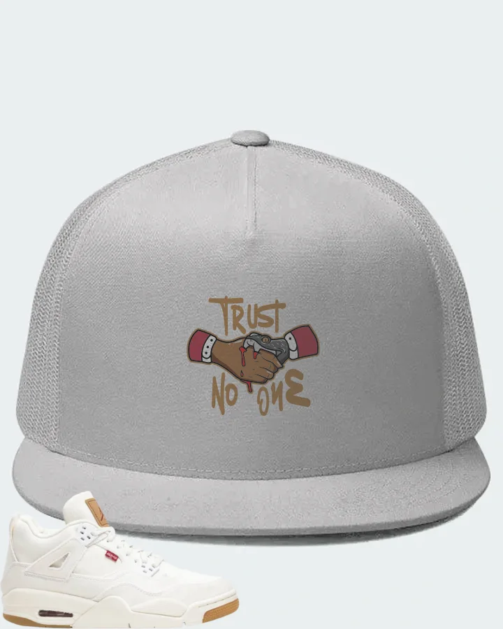 Jordan 4 Retro Sneaker Matching White Hat - Trust No One