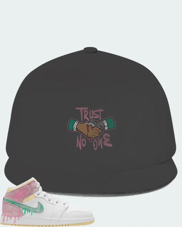 Jordan 1 Mid Sneaker Matching Dark Grey Hat - Trust No One