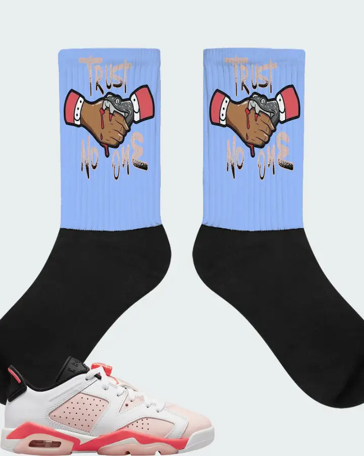 Jordan 6 Retro Low Sneaker Matching Carolina Blue Socks - Trust No One