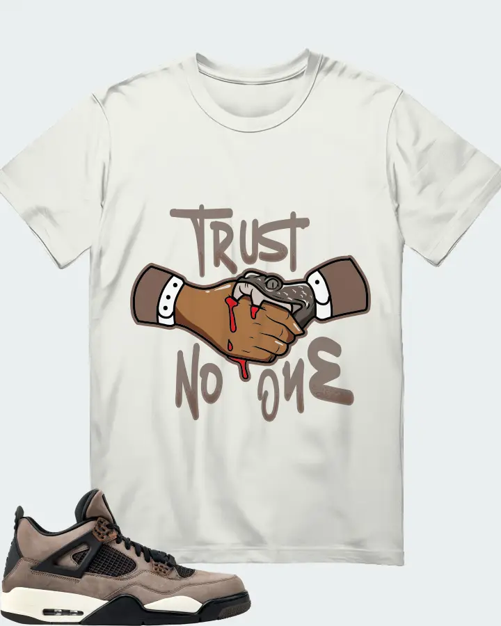 Jordan 4 Retro Sneaker Matching Ash T-Shirt - Trust No One