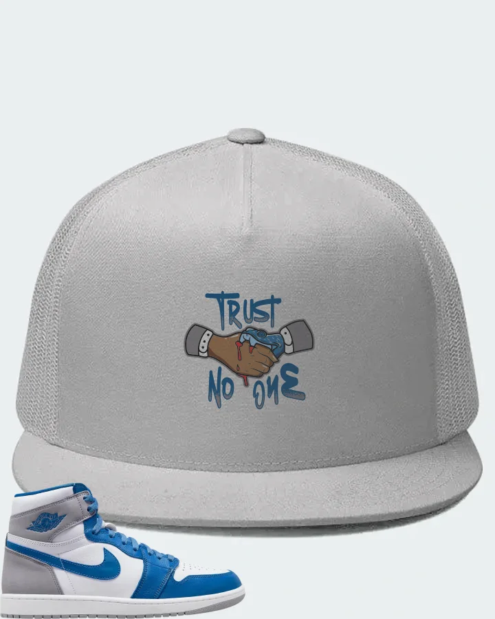 Jordan 1 Retro High OG Sneaker Matching White Hat - Trust No One