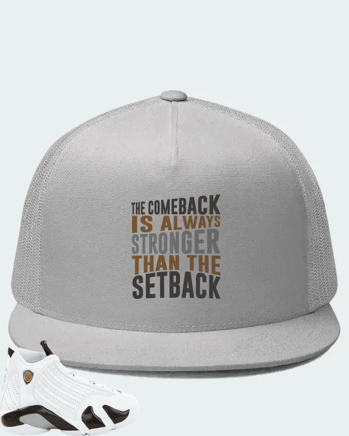 Jordan 14 Retro Sneaker Matching White Hat - The Comeback