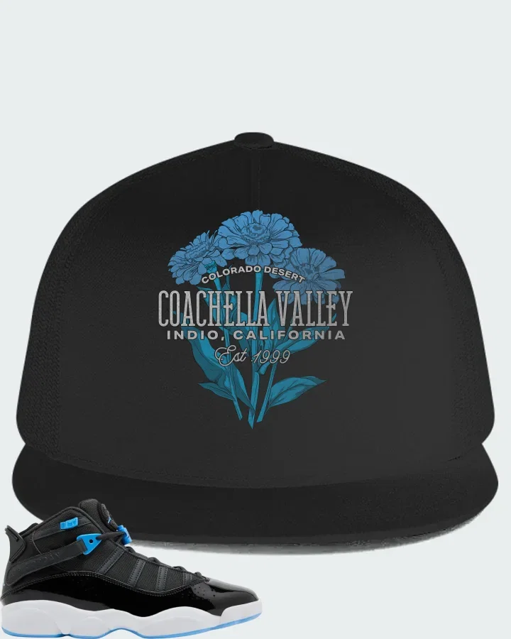 Jordan 6 Rings Black University Blue Matching Hat