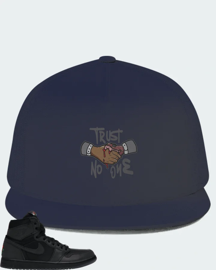 Jordan 1 Retro High Sneaker Matching Navy Hat - Trust No One