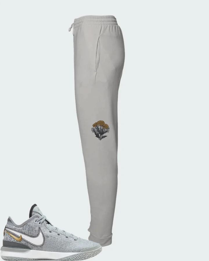 Nike Zoom LeBron NXXT Gen Wolf Grey Metallic Gold Matching Joggers