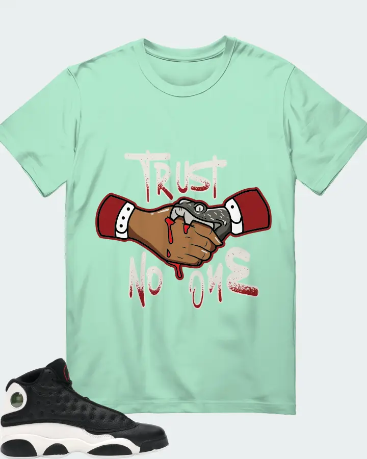 Jordan 13 Retro Sneaker Matching Mint T-Shirt - Trust No One