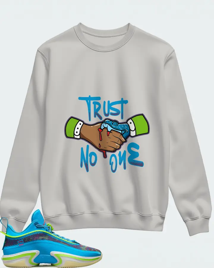 Jordan 36 Low Sneaker Matching Grey Sweatshirt - Trust No One