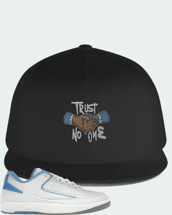 Jordan 2 Retro Low Sneaker Matching Black Hat - Trust No One