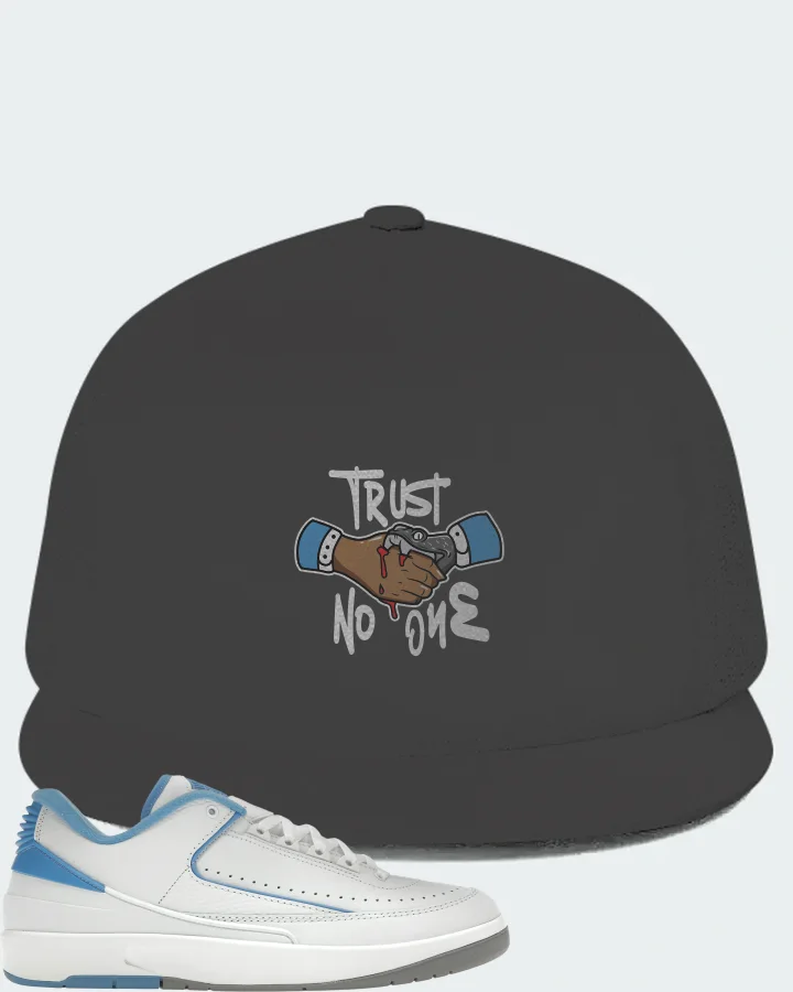 Jordan 2 Retro Low Sneaker Matching Dark Grey Hat - Trust No One
