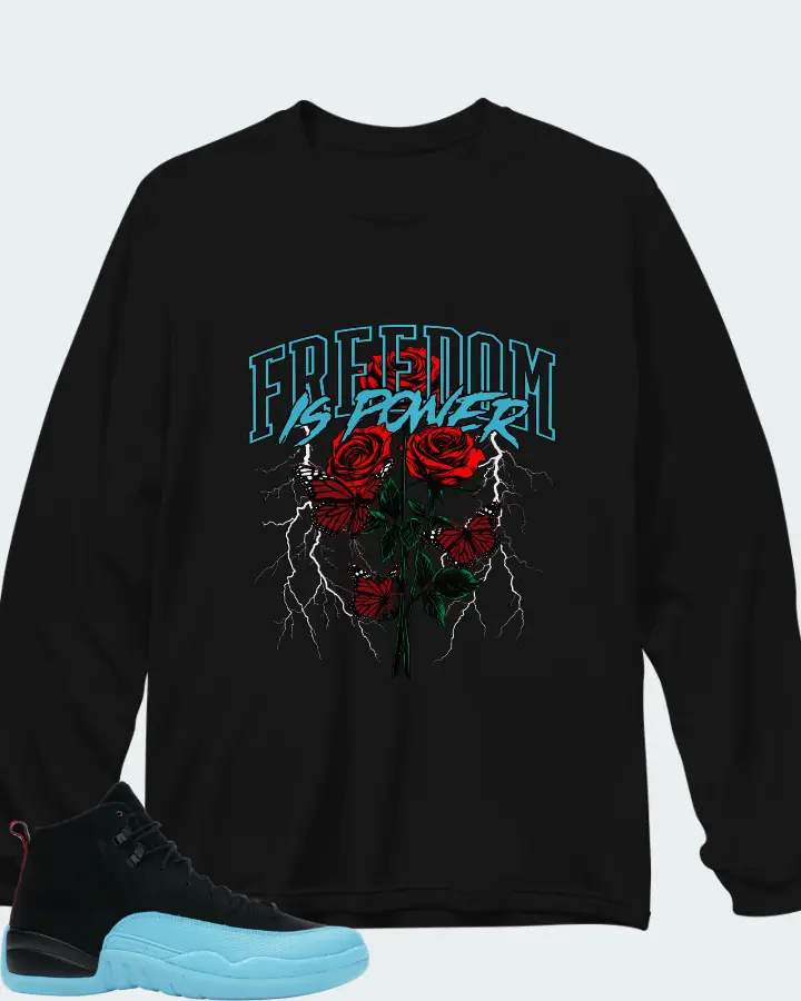 Air Jordan 12 Retro Gamma Blue Matching Long Sleeve T-Shirt