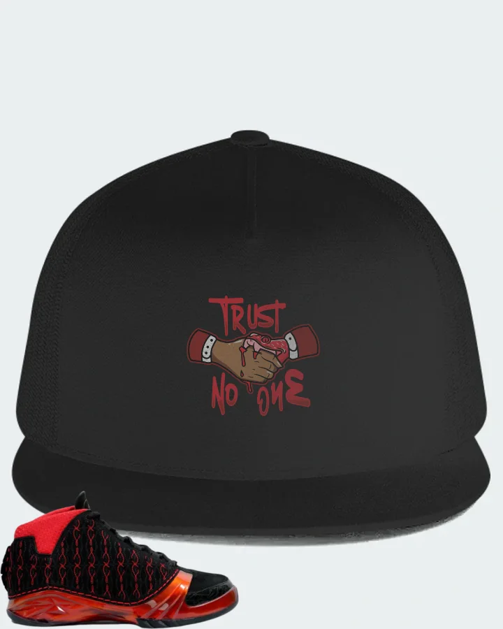 Jordan 23 Sneaker Matching Black Hat - Trust No One