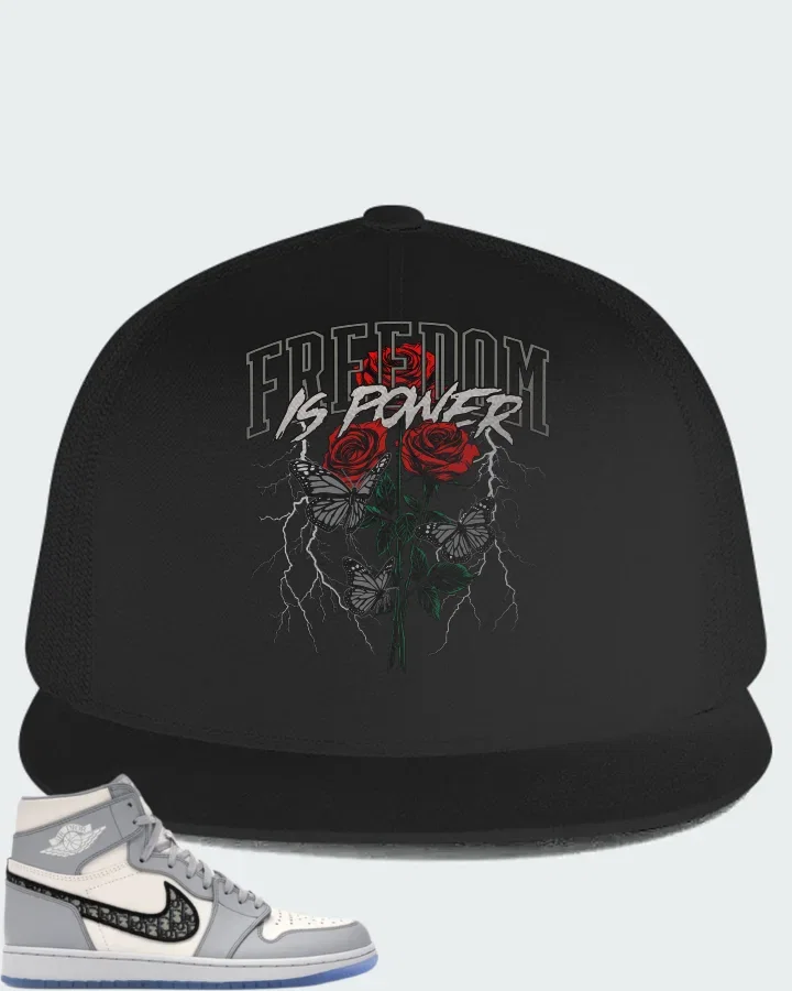 Air Jordan 1 High 85 Wings Wolf Grey Matching Hat