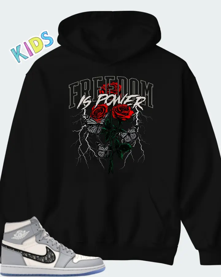 Air Jordan 1 High 85 Wings Wolf Grey Matching Kid's Hoodie