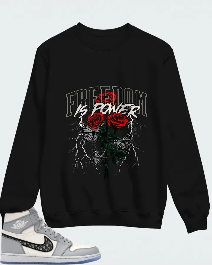Air Jordan 1 High 85 Wings Wolf Grey Matching Sweatshirt