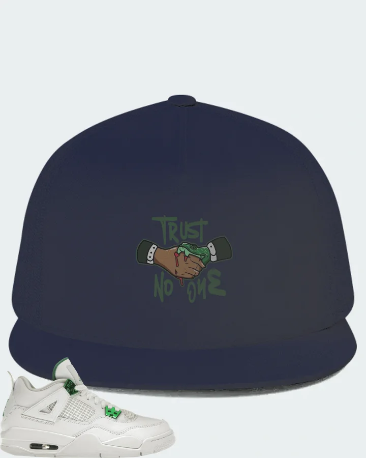 Jordan 4 Retro Sneaker Matching Navy Hat - Trust No One