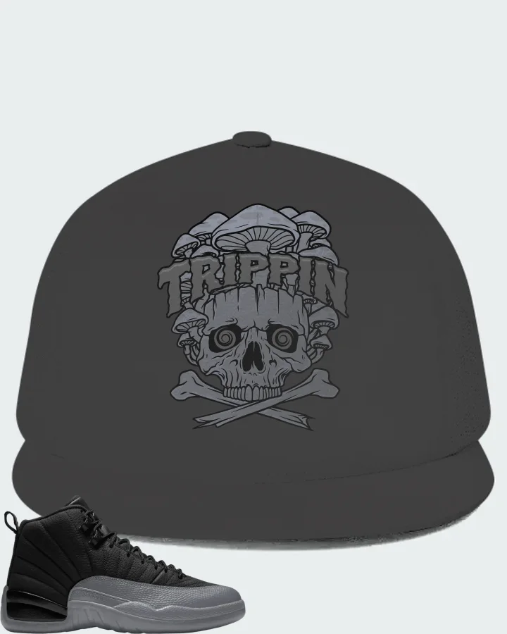 Air Jordan 12 Black Wolf Grey Matching Hat