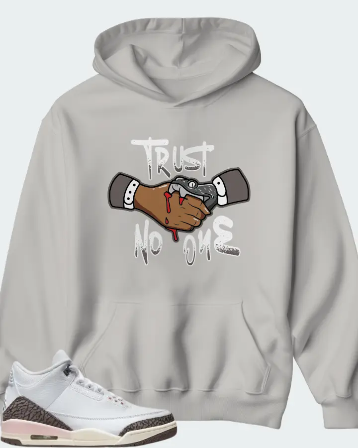 Jordan 3 Retro Sneaker Matching Grey Hoodie - Trust No One