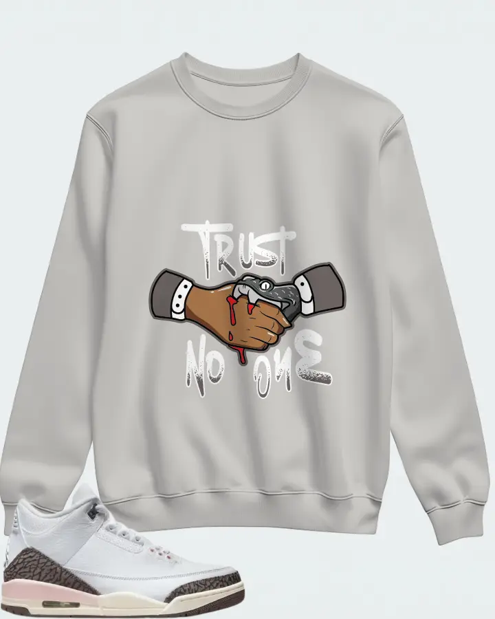 Jordan 3 Retro Sneaker Matching Grey Sweatshirt - Trust No One