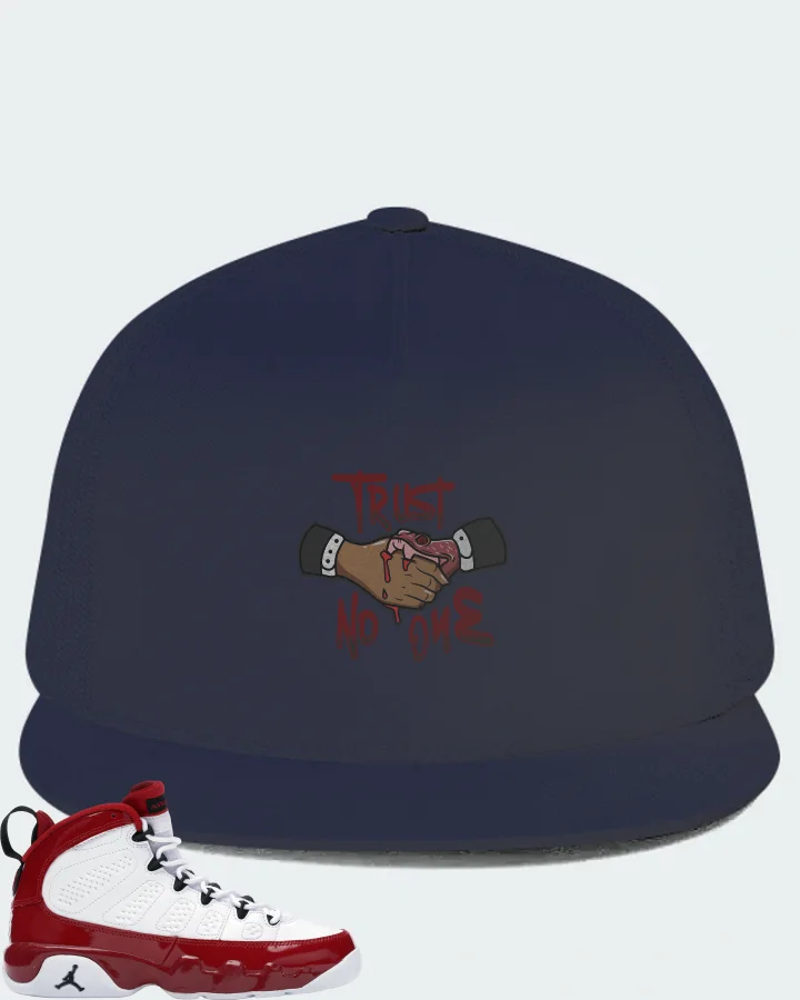 Jordan 9 Retro Sneaker Matching Navy Hat - Trust No One
