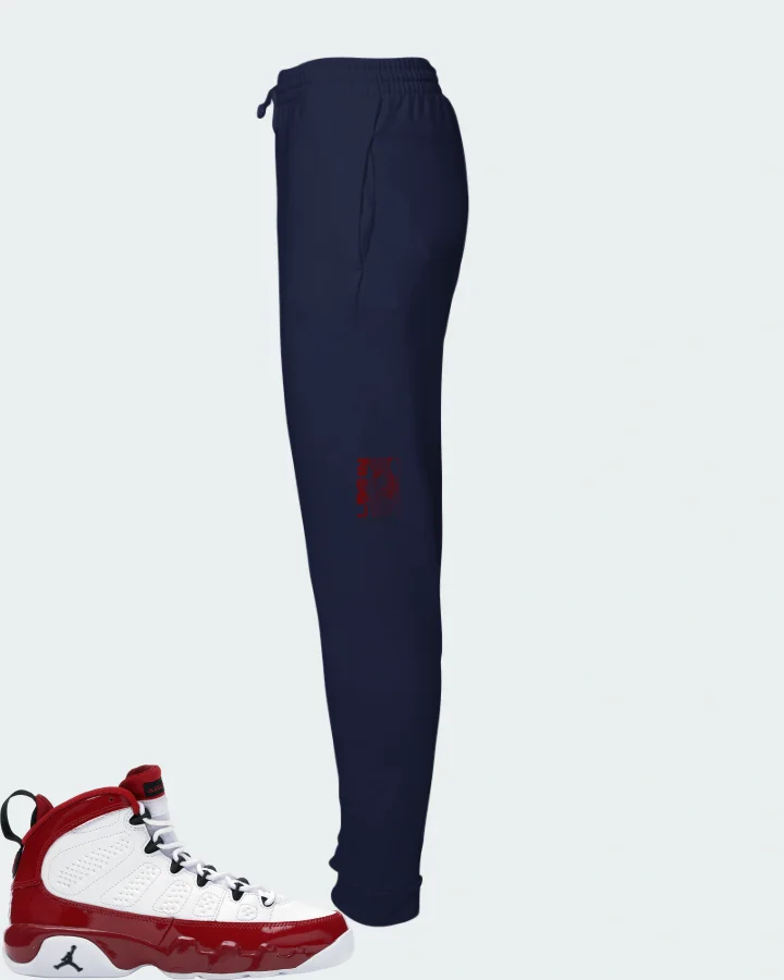 Joggers in Navy
