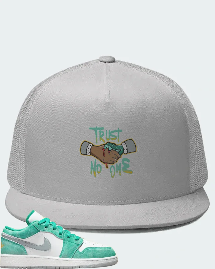 Jordan 1 Low Sneaker Matching White Hat - Trust No One