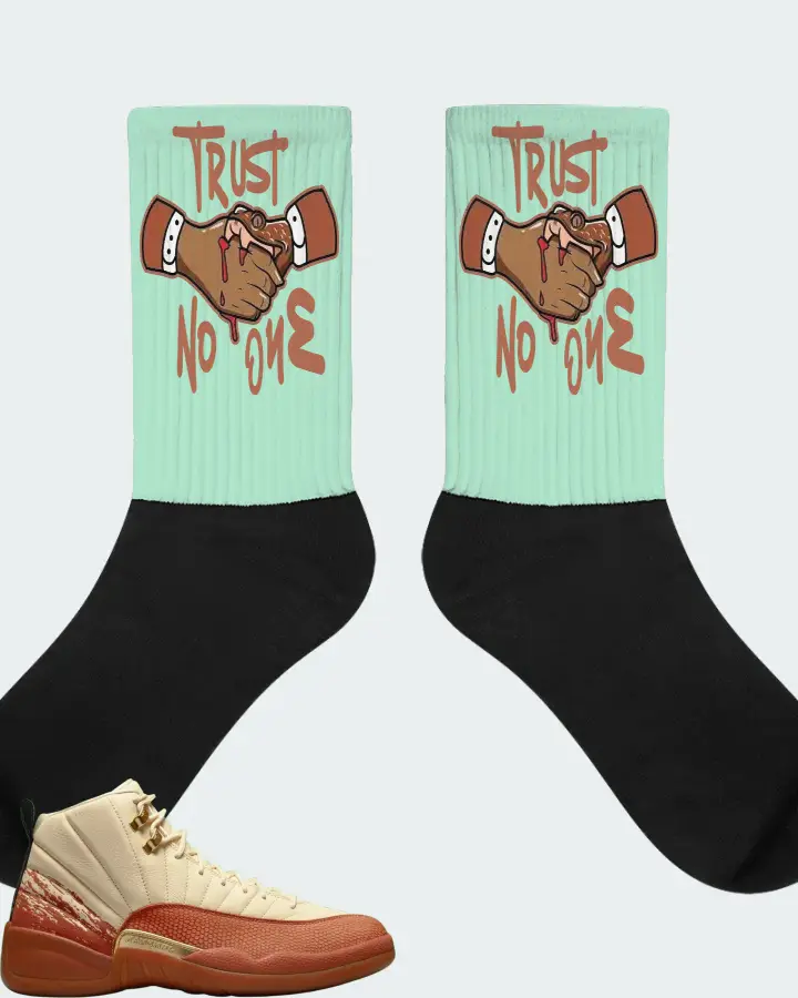 Jordan 12 Retro Sneaker Matching Mint Socks - Trust No One