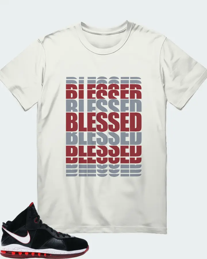 Nike LeBron 8 Sneaker Matching Ash T-Shirt - BLESSED Many Times