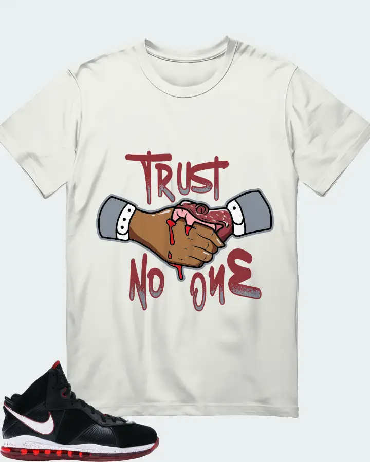 Nike LeBron 8 Sneaker Matching Ash T-Shirt - Trust No One