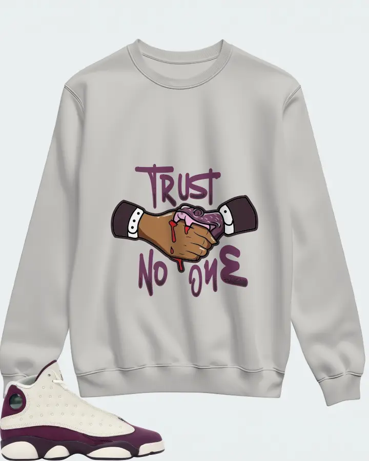 Sweatshirt in Grey