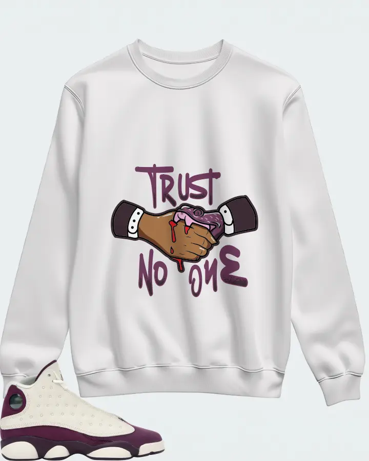 Jordan 13 Retro Sneaker Matching White Sweatshirt - Trust No One