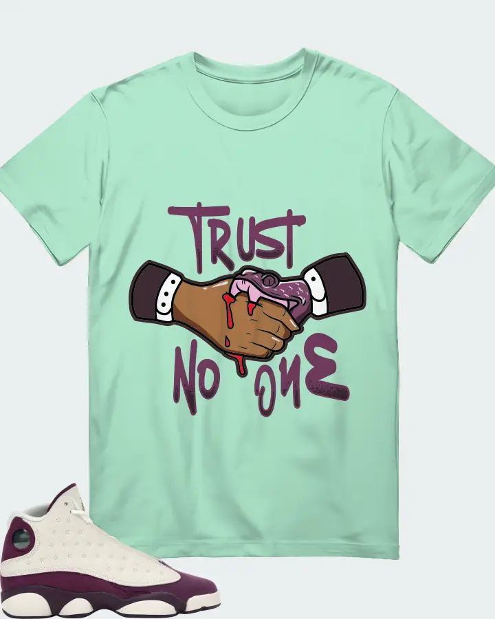 Jordan 13 Retro Sneaker Matching Mint T-Shirt - Trust No One