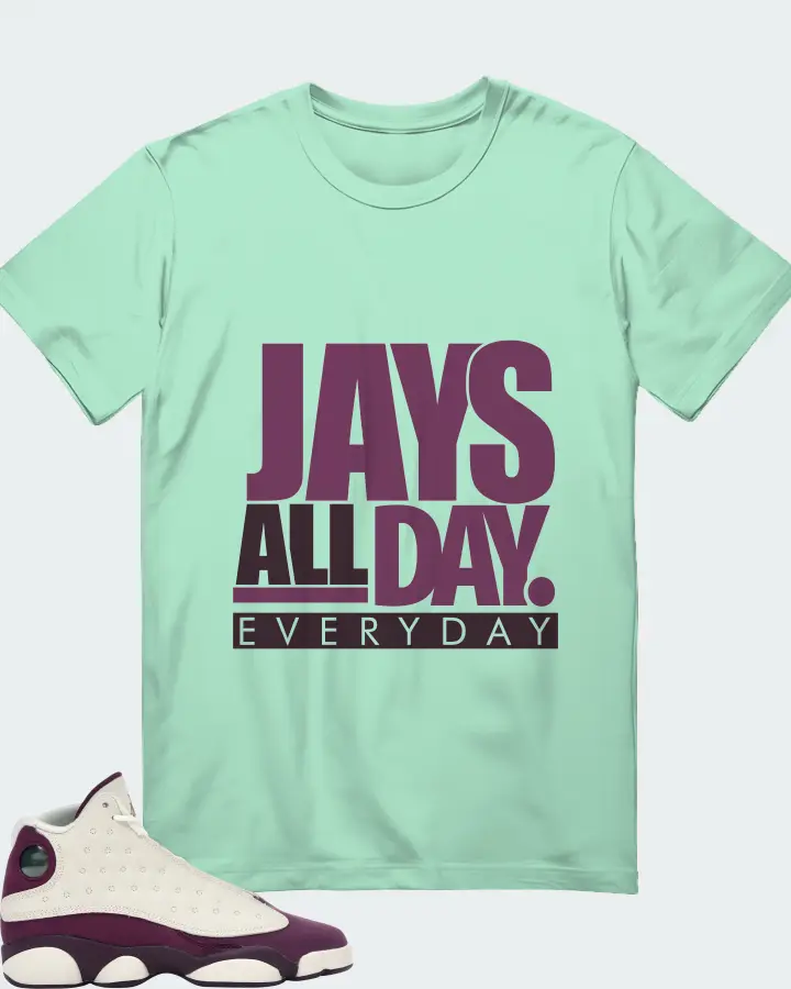Jordan 13 Retro Sneaker Matching Mint T-Shirt - Jays All Day