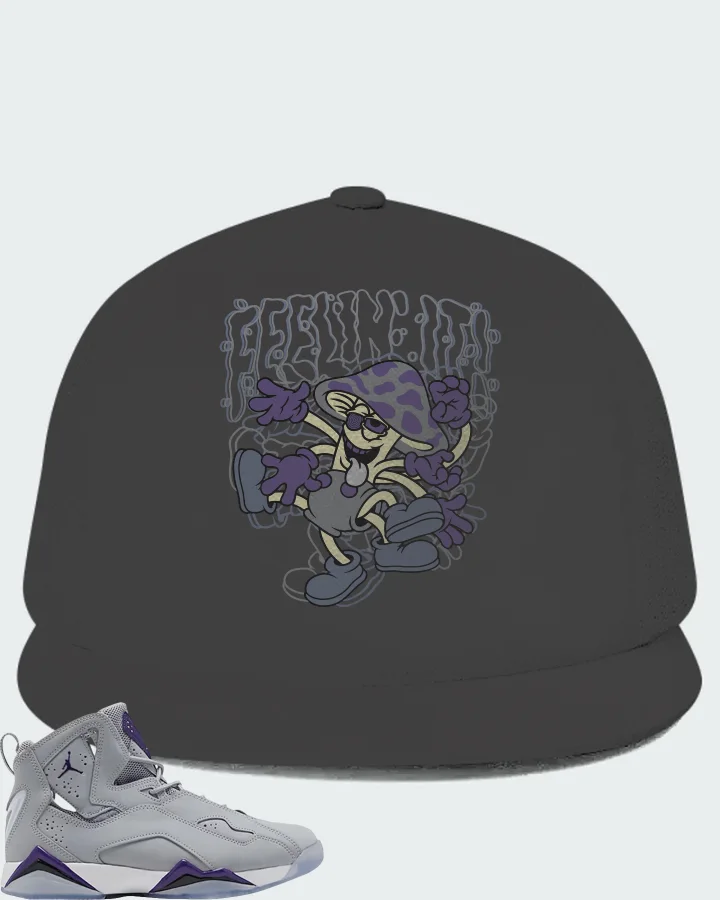 Air Jordan True Flight Wolf Grey Purple Matching Hat