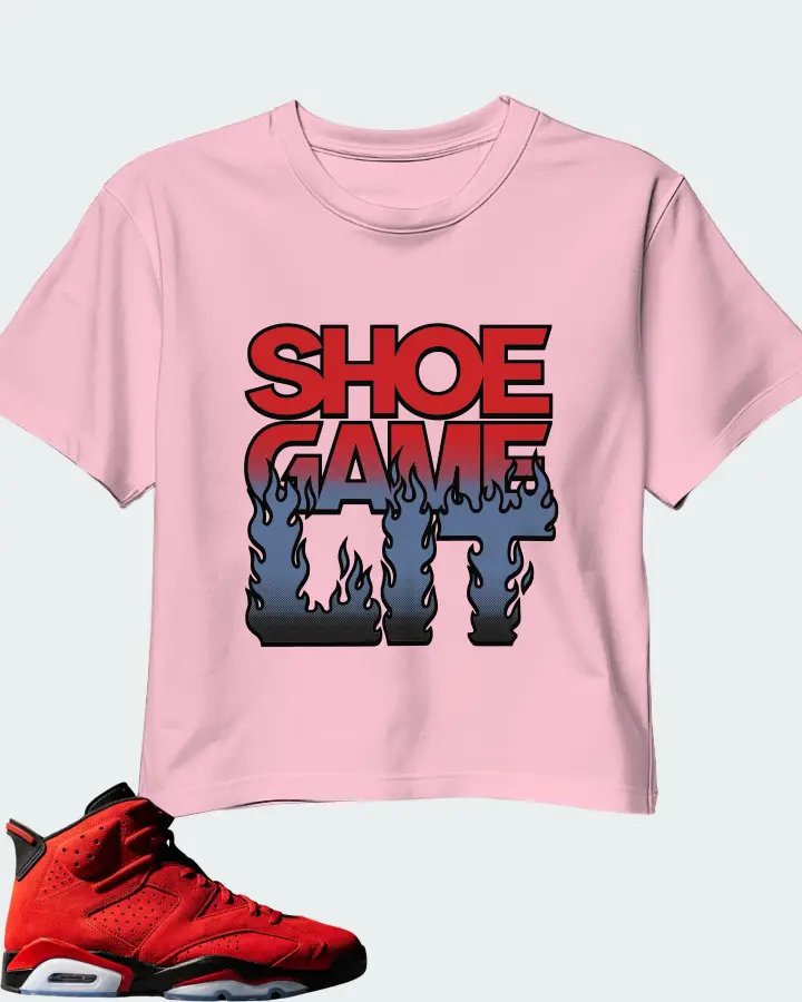 Jordan 6 Retro Sneaker Matching Pink Crop Top - Shoe Game Lit Refreshed