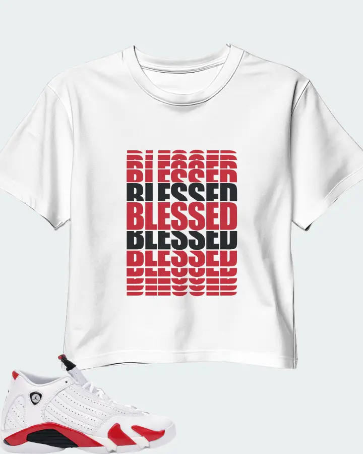 Jordan 14 Retro Sneaker Matching White Crop Top - BLESSED Many Times
