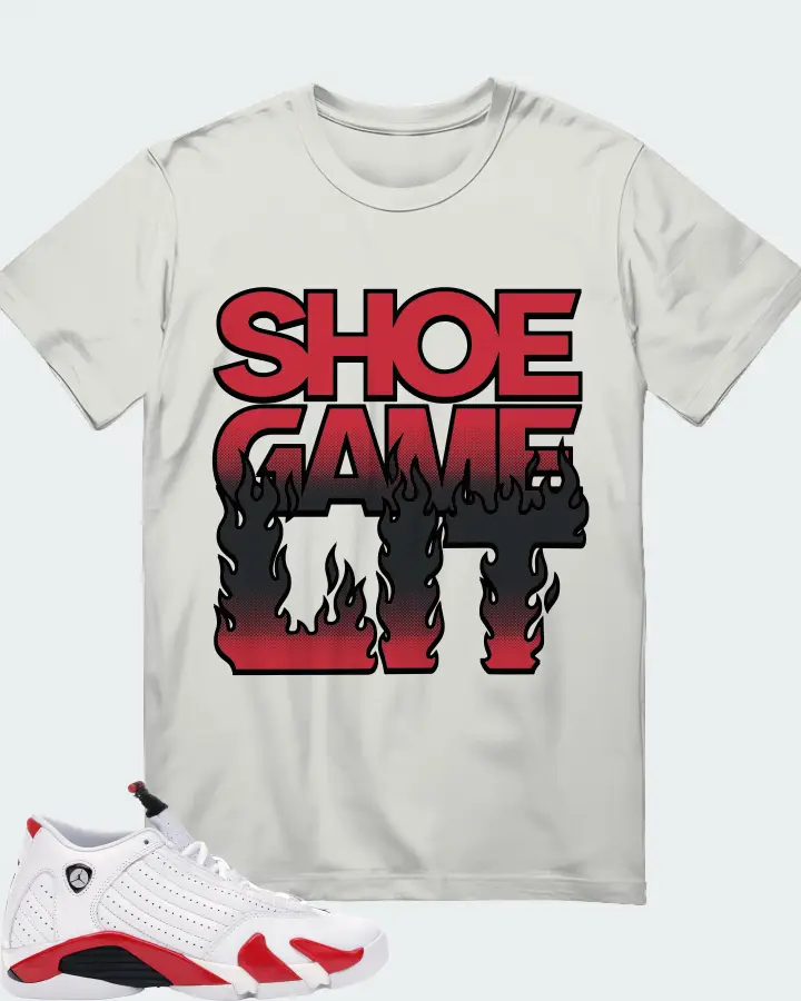 Jordan 14 Retro Sneaker Matching Silver T-Shirt - Shoe Game Lit Refreshed