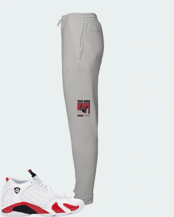 Jordan 14 Retro Sneaker Matching Grey Joggers - Take Over