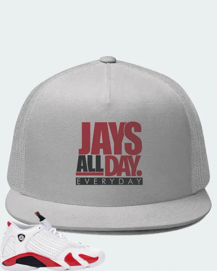 Jordan 14 Retro Sneaker Matching White Hat - Jays All Day