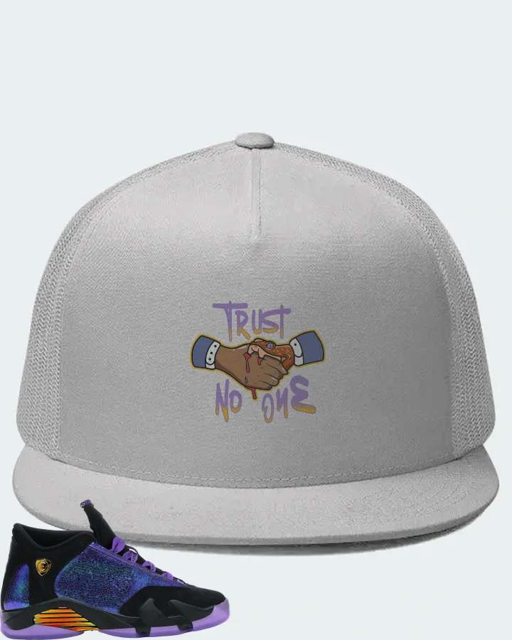 Jordan 14 Retro Sneaker Matching White Hat - Trust No One