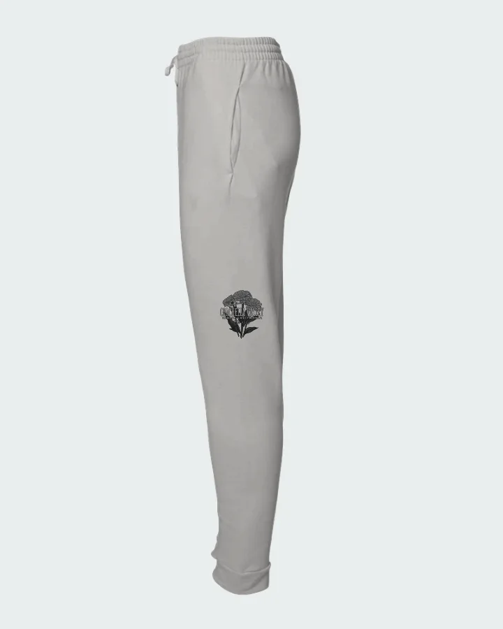 Nike P-6000 Metallic Platinum University Blue Matching Joggers