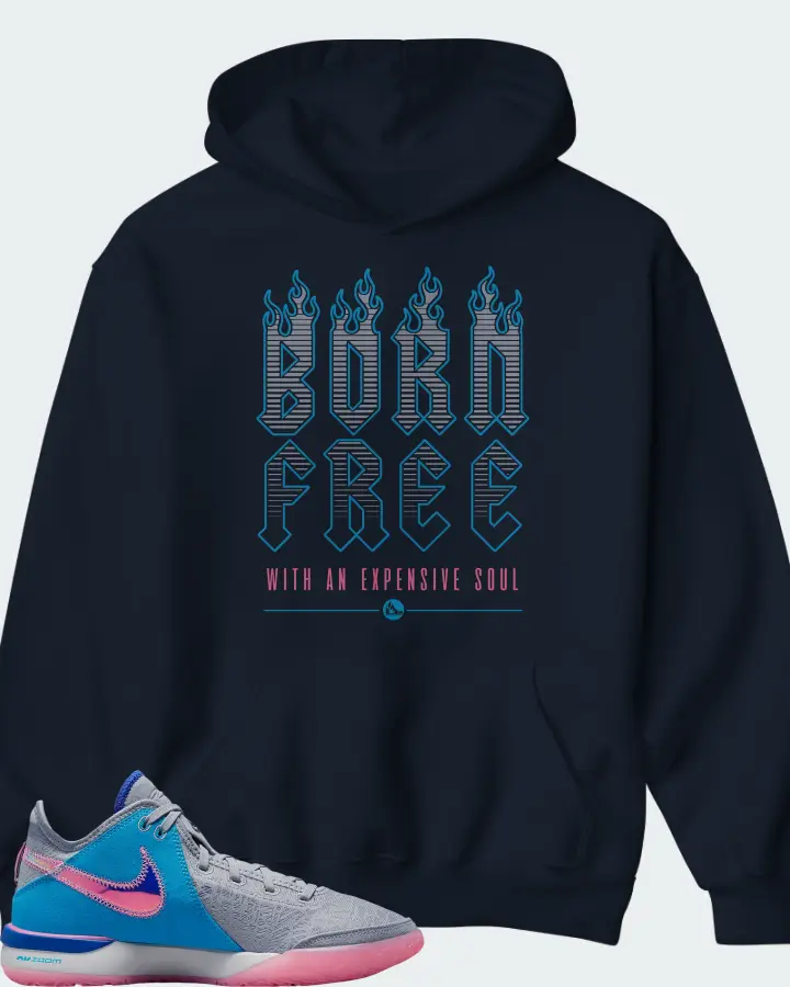 Nike Zoom LeBron NXXT Gen Wolf Grey Matching Hoodie