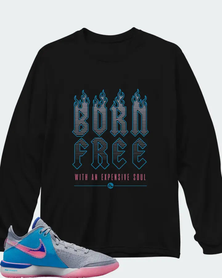 Nike Zoom LeBron NXXT Gen Wolf Grey Matching Long Sleeve T-Shirt