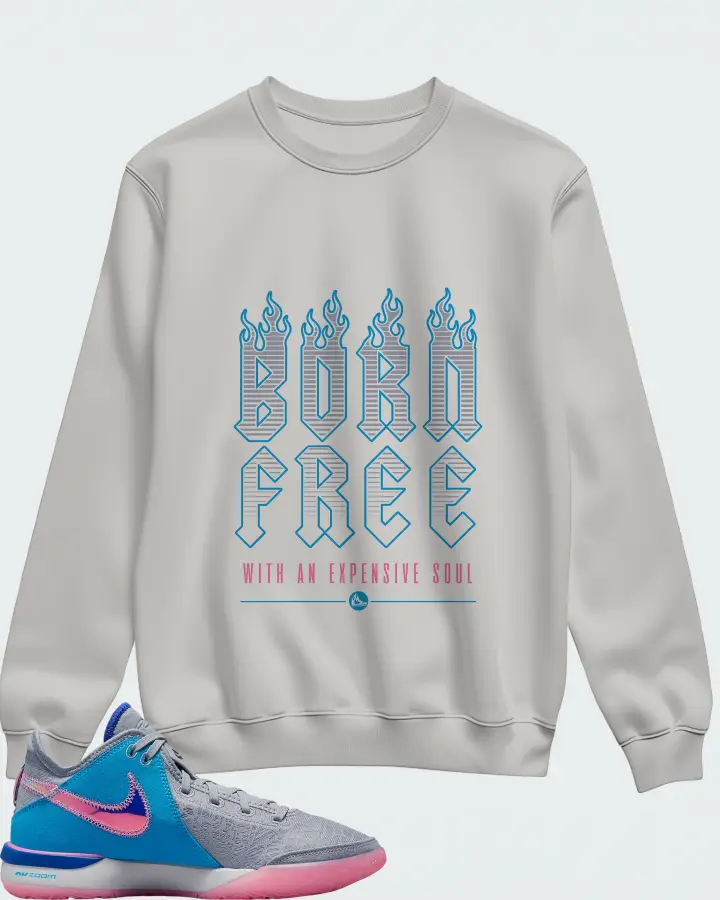 Nike Zoom LeBron NXXT Gen Wolf Grey Matching Sweatshirt