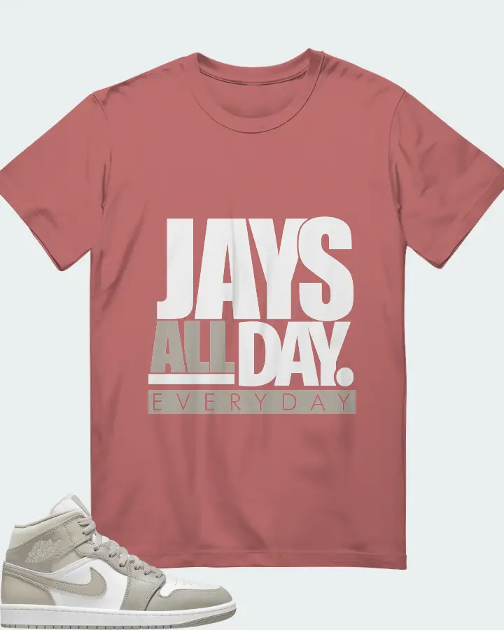 Jordan 1 Mid Sneaker Matching Mauve T-Shirt - Jays All Day