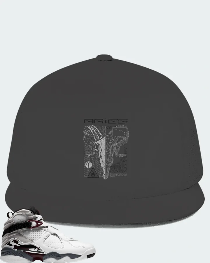 Jordan 8 Retro Sneaker Matching Dark Grey Hat (ARIES) - View 1