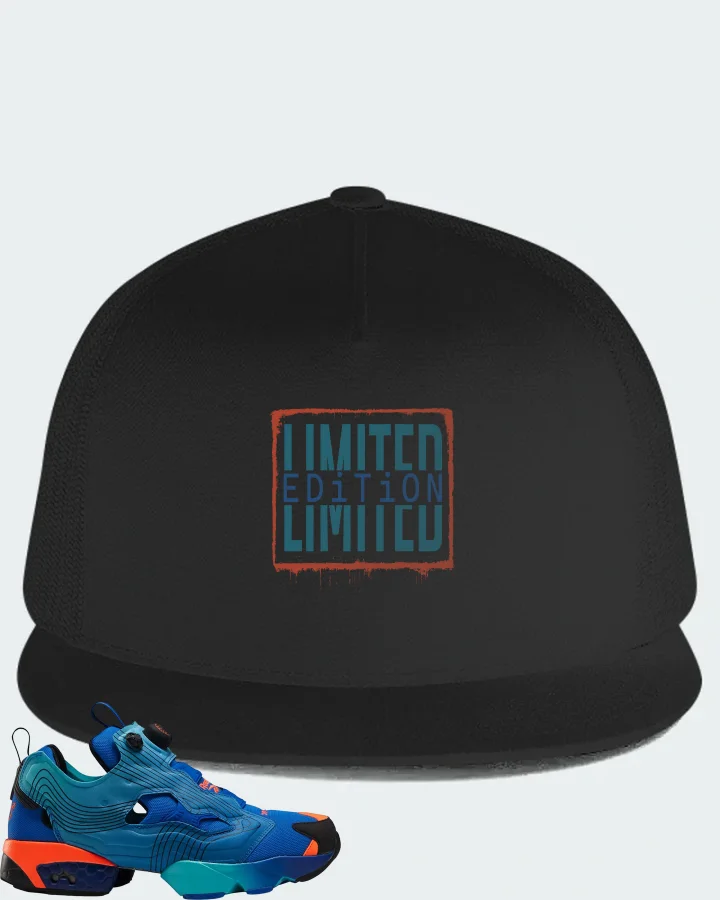 Reebok Instapump Fury Sneaker Matching Black Hat - LIMITED EDITION