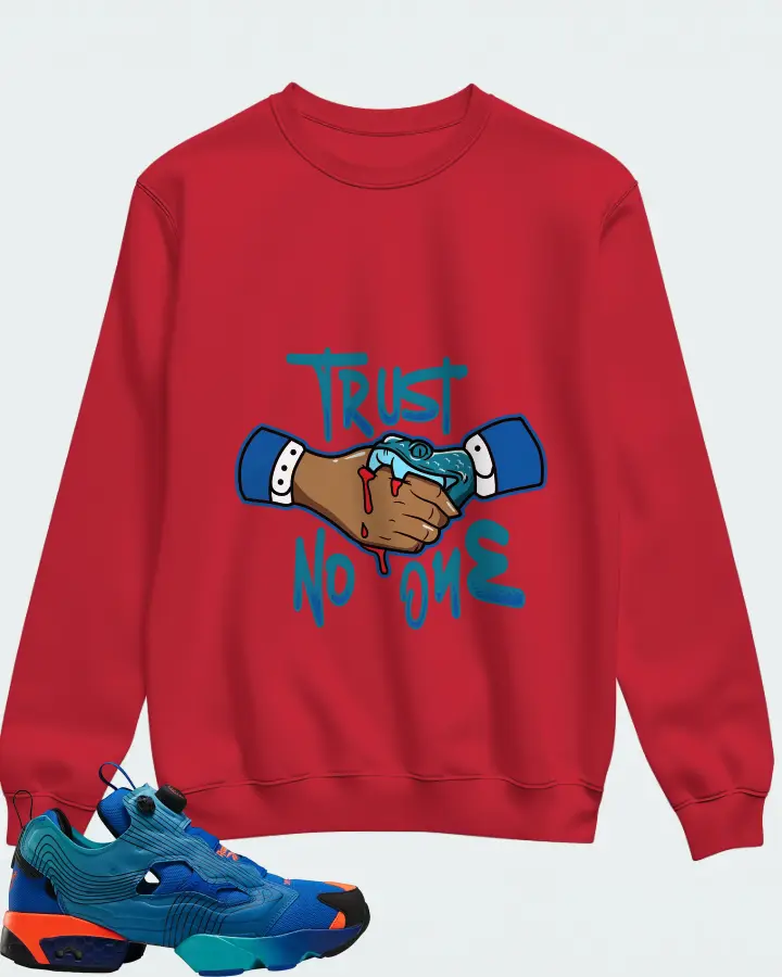 Sweatshirt in Red