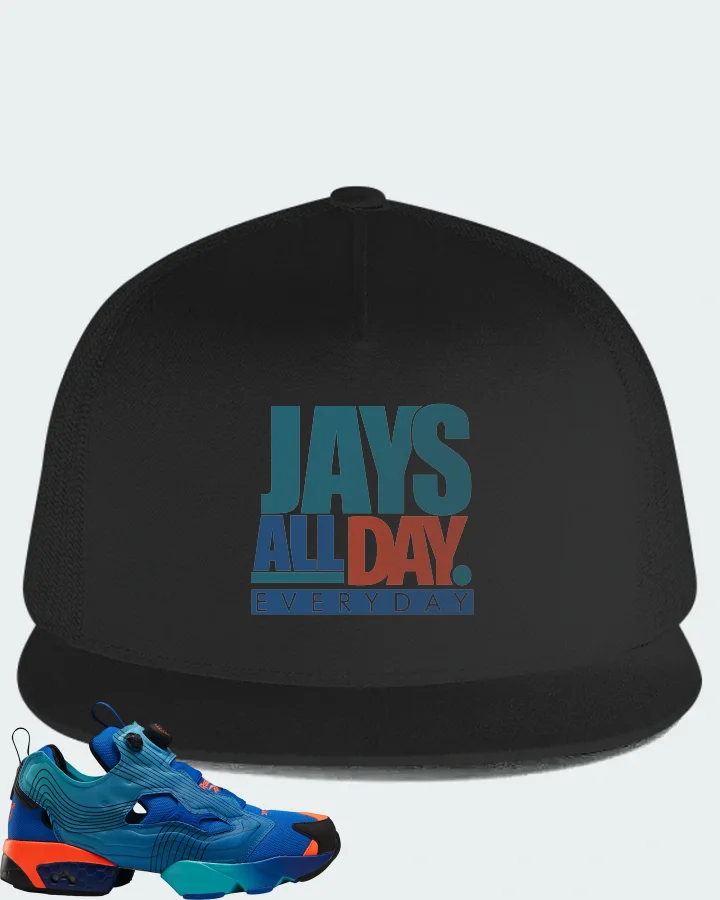 Reebok Instapump Fury Sneaker Matching Black Hat - Jays All Day